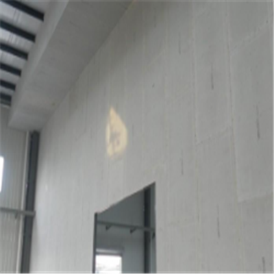 友谊宁波ALC板|EPS加气板隔墙与混凝土整浇联接的实验研讨